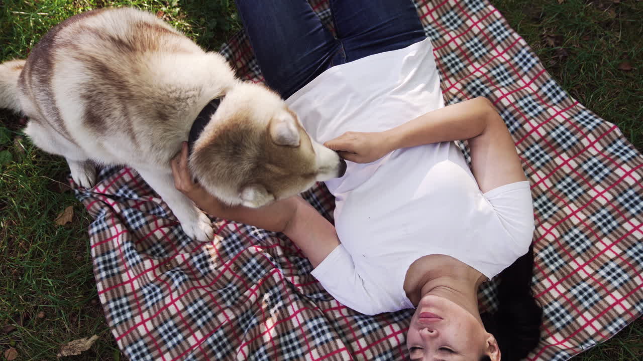 человек, играющий с собакой