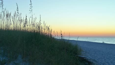 Seehafer-Weht-Bei-Sonnenaufgang-Im-Wind-Am-Weißen-Sand-Der-Smaragdküste-Im-Golf-Von-Mexiko