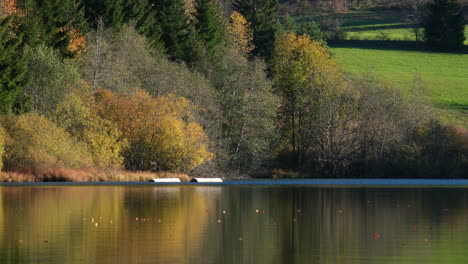 autumn colours on the lake with calm water surface