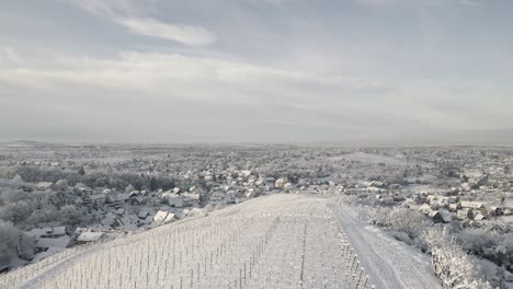 cross standing on snowy hill overlooking vast vineyard landscape during winter in offenburg, germany