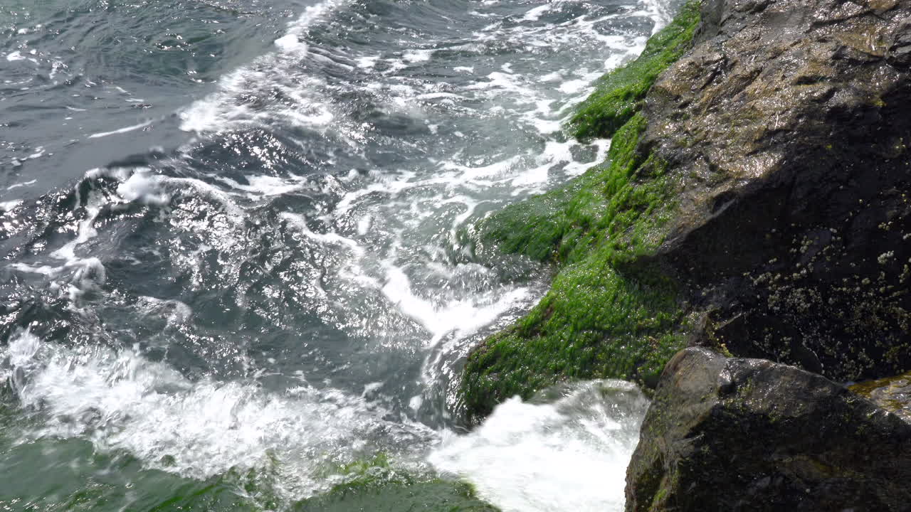 Ocean Waves Rolling Over The Seaweed Covered Rocks At The Shore Free ...