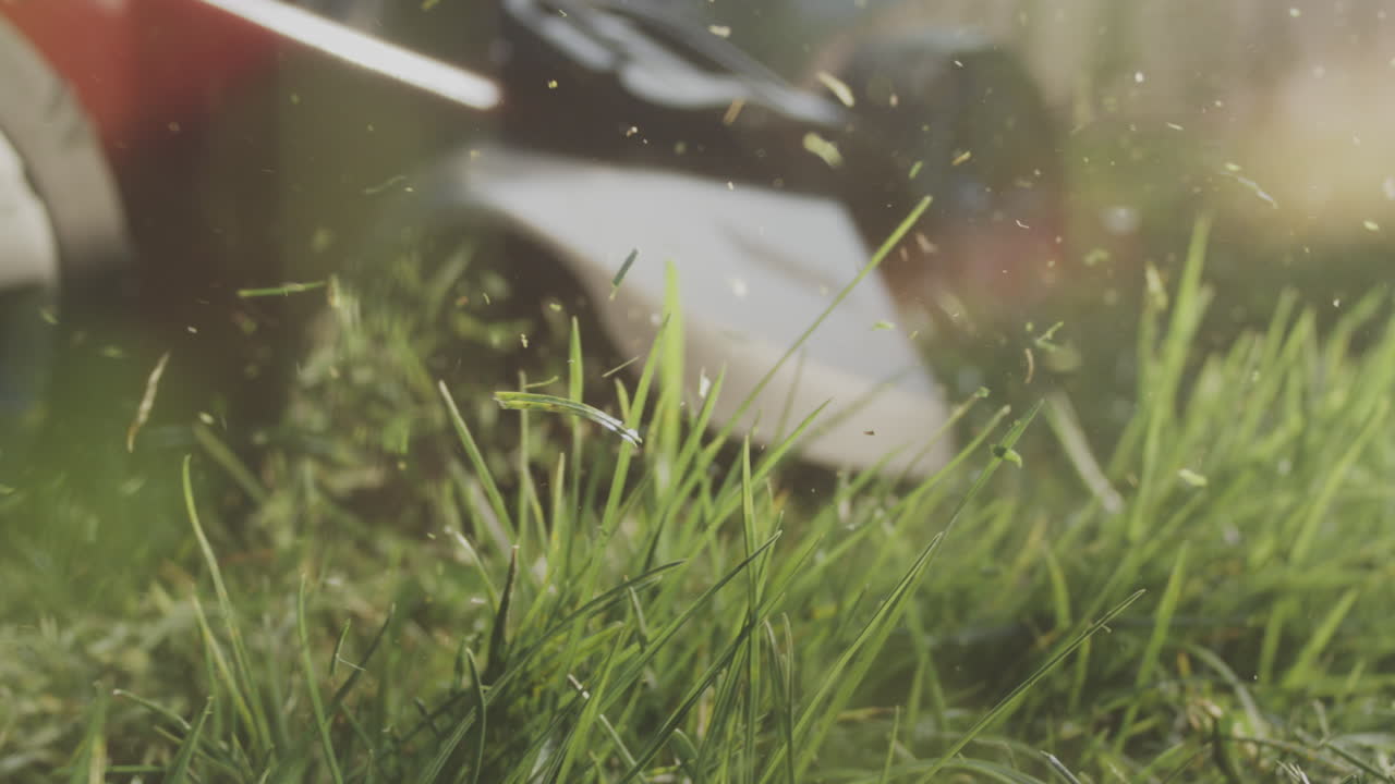 진행 중인 잔디 기