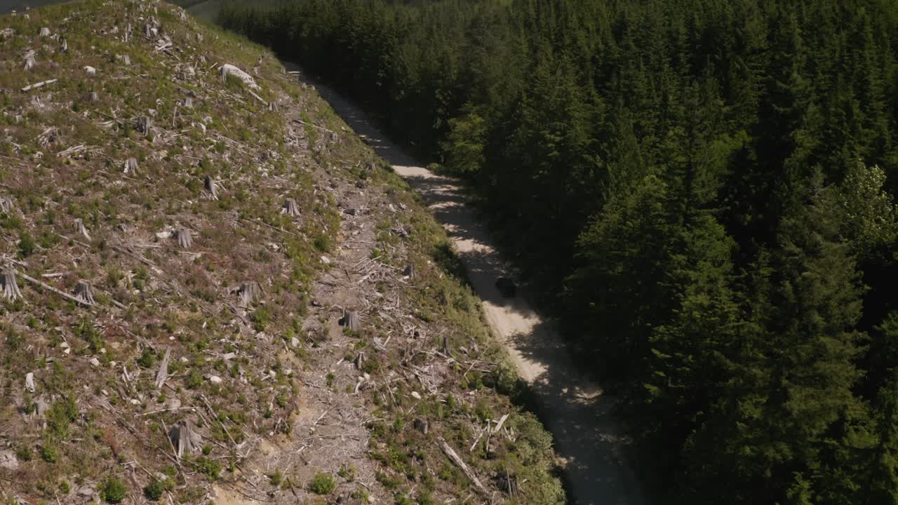 dolly aéreo en un jeep conduciendo en una ladera polvorienta rodeada de densos bosques de pinos verdes y montañas verdes, columbia británica, canadá