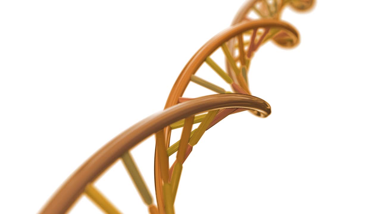 adn giratorio rna doble hélice ciencia lenta microscopio electrónico de primer plano dof 4k