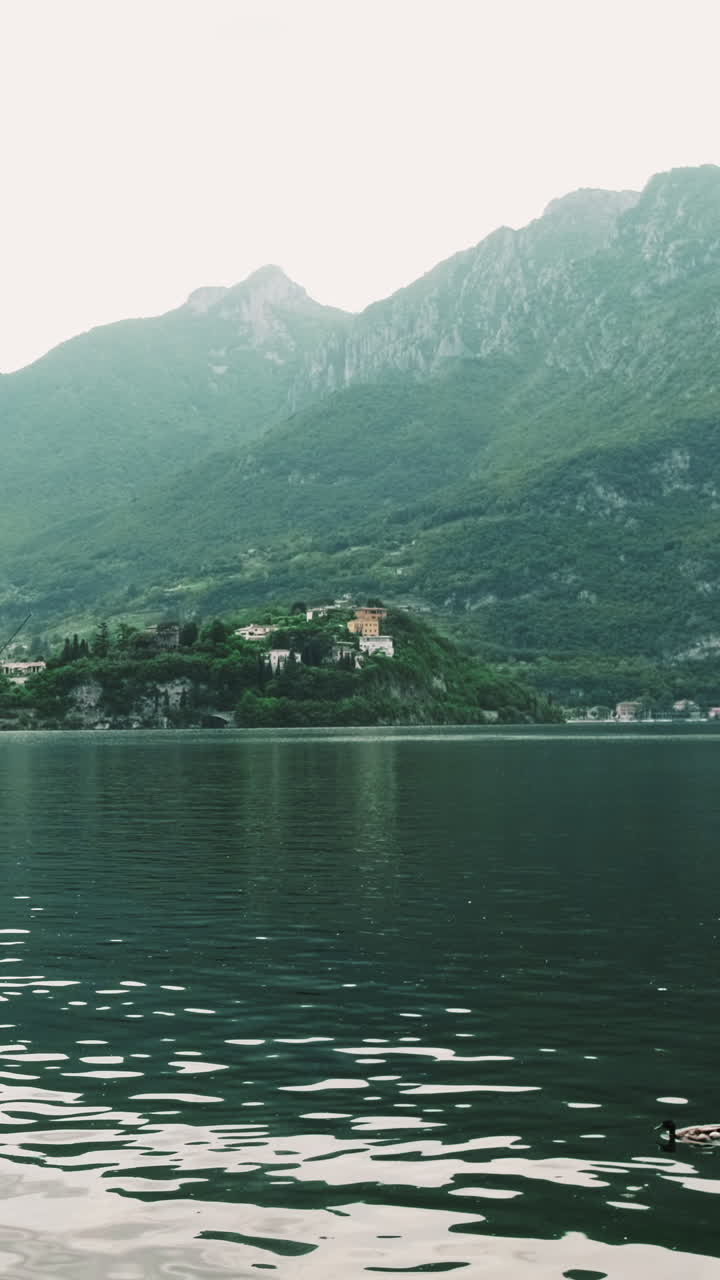 Tranquillo paesaggio lacustre con montagne verdi e un'anatra che nuota.