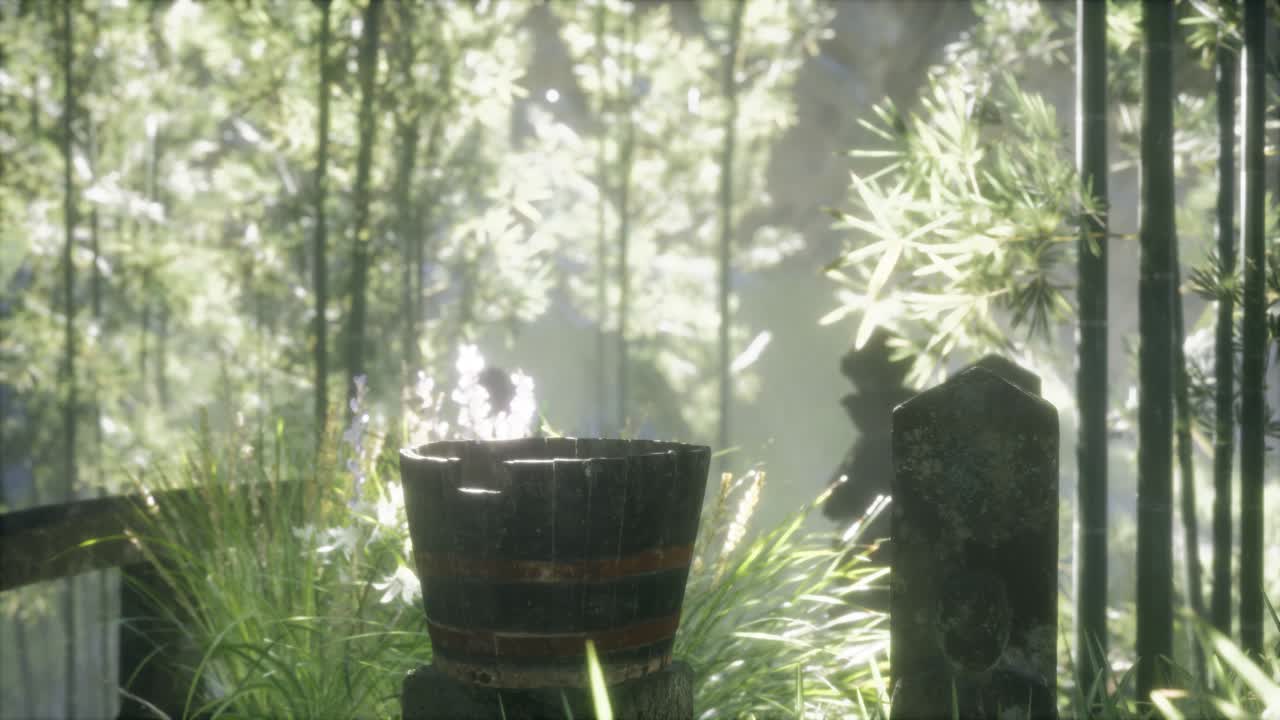 일본 대나무 숲 과 녹색 초원 잔디 와 자연 빛