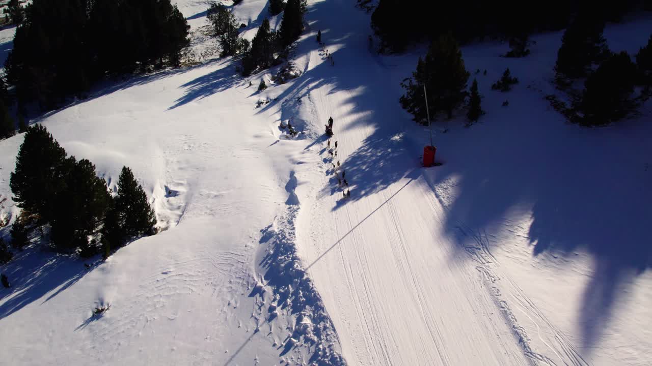 Dog sledding racing competition, aerial overhead establisher