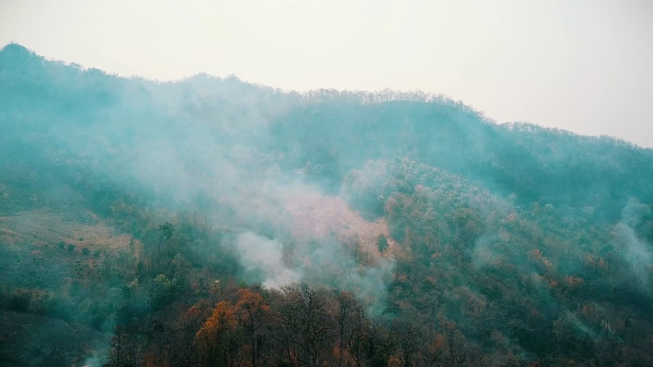 Smog of forest fires. Deforestation and Climate crisis. Toxic haze from rainforest fires. Aerial video 4k
