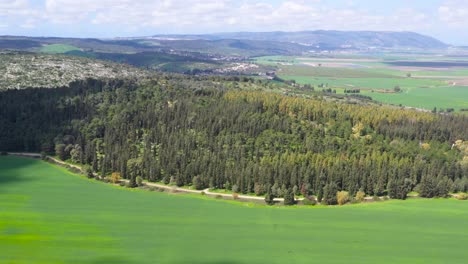 aerial view of green hills and valleys at megido forest, israel