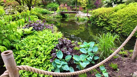 Irlanda-Ubicaciones-épicas-Jardín-Japonés-Estanque-Con-Puente-Powerscourt-Wicklow