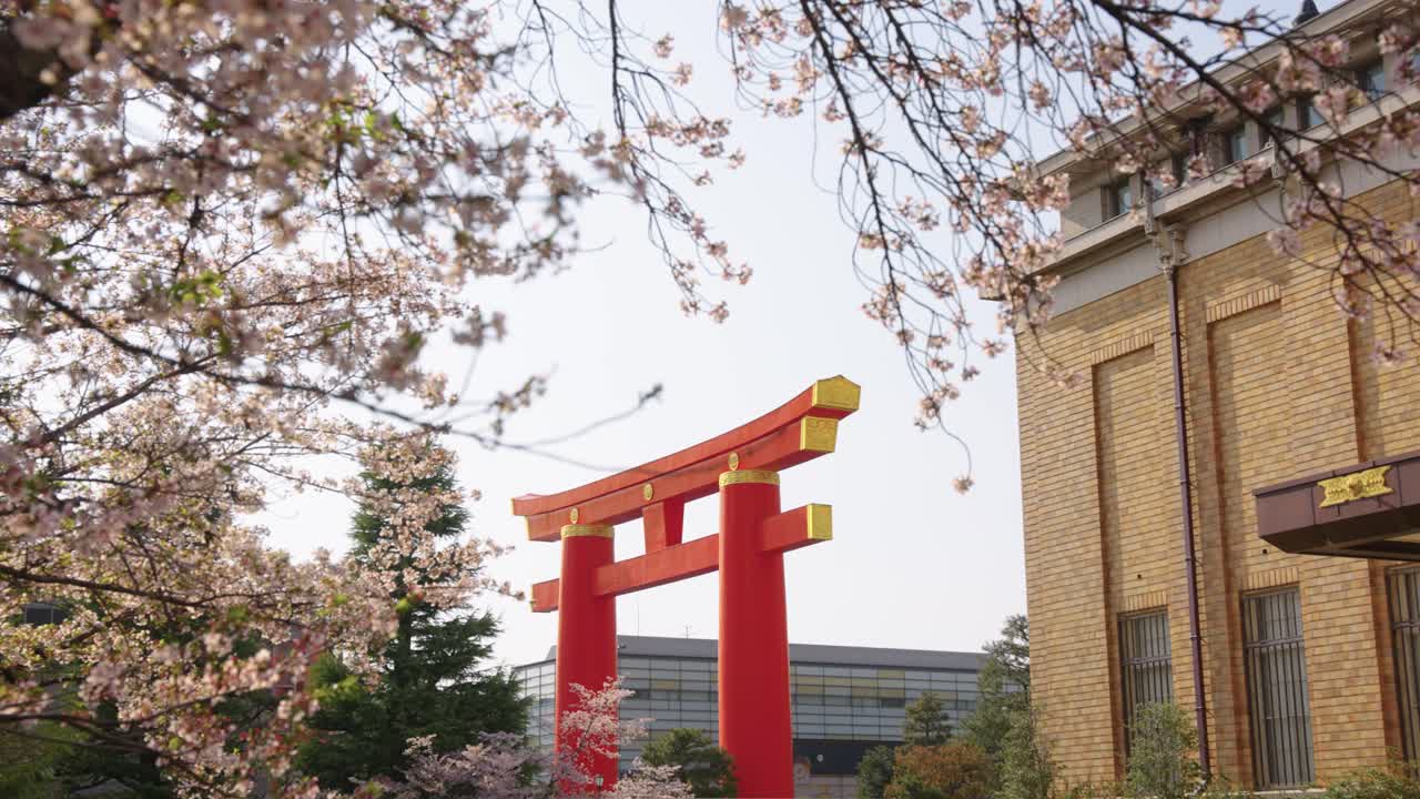 Heian Jingu Shrine, Large Red Torii Gate and Sakura Trees in Kyoto Japan