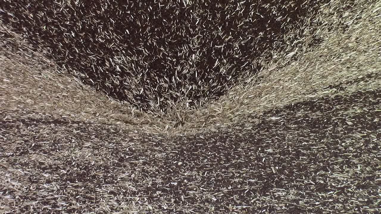 고속도로 캐리어에서 카놀라 비우기