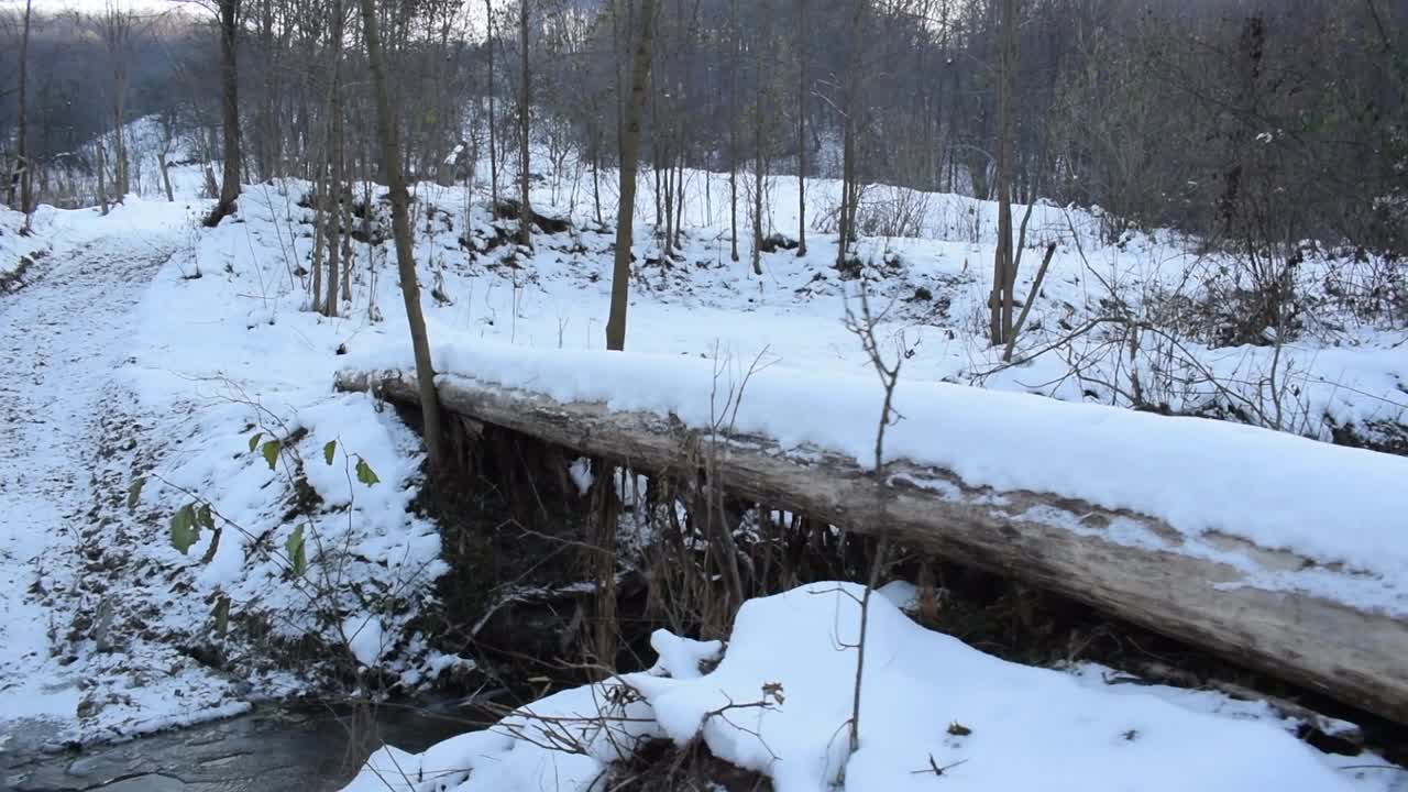 puente natural sobre un pequeño río formado por dos árboles caídos