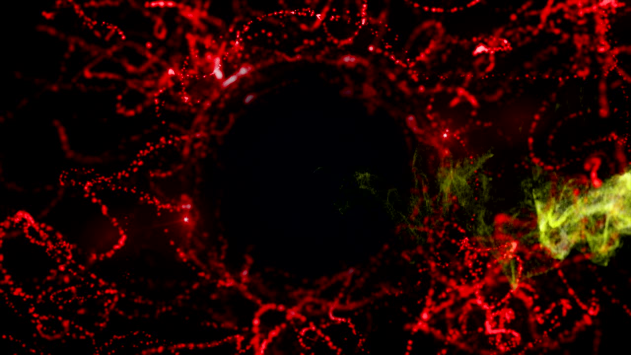 las partículas mágicas anillo fondo abstracto, animación, renderización, bucle