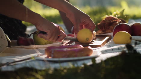 woman cutting lemons in the park