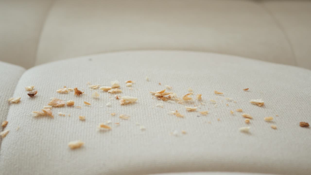 색 소파 에 어져 있는  어리 들 의 클로즈업