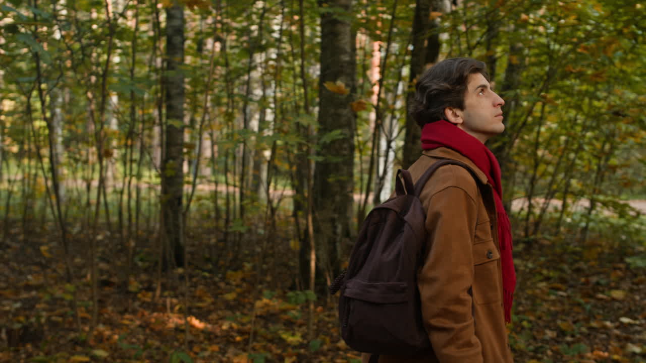 Man walking in the forest in autumn