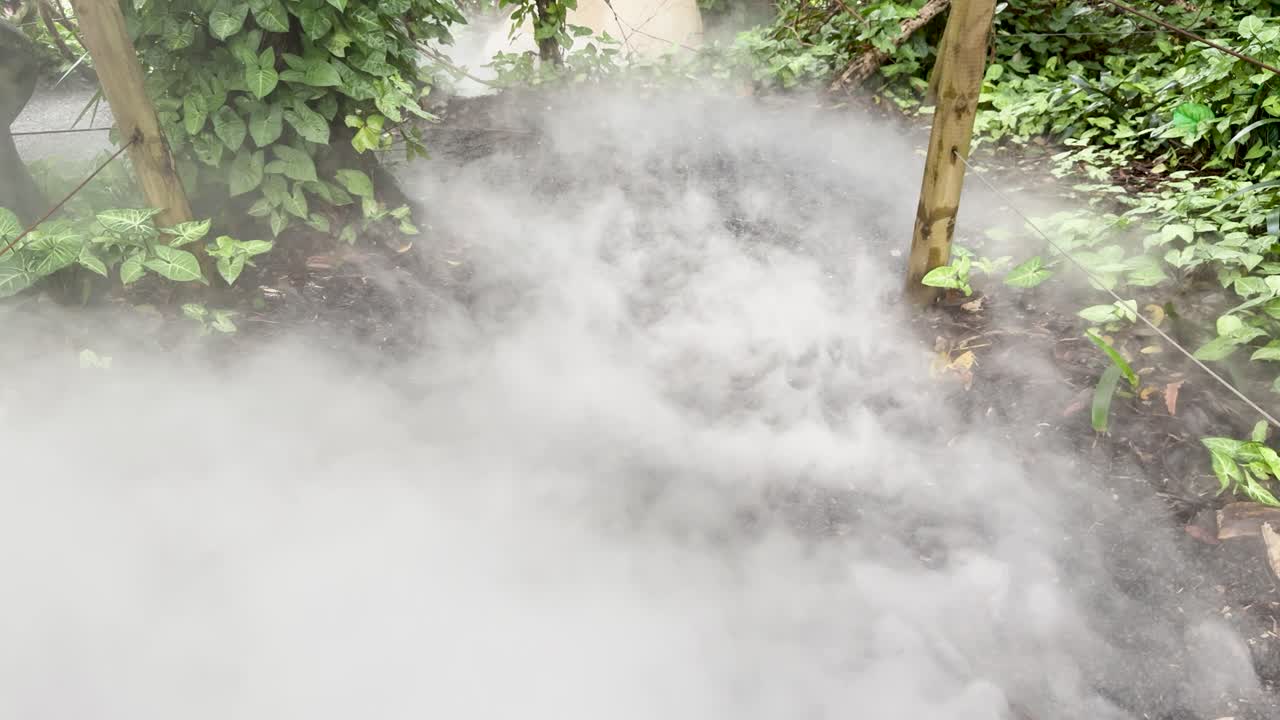 Thick white fog drifts over garden soil, obscuring plants under soft, natural daylight. Static camera