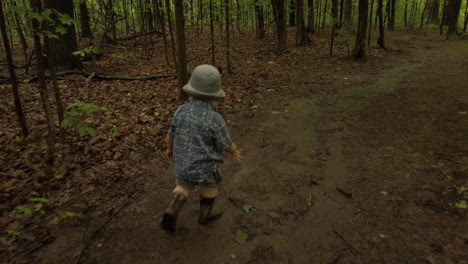 little boy hiking and exploring in a forest