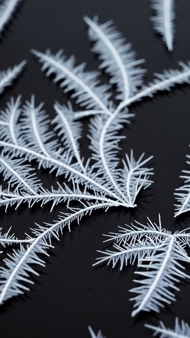 Close-up of 3D-Printed Ice Crystals