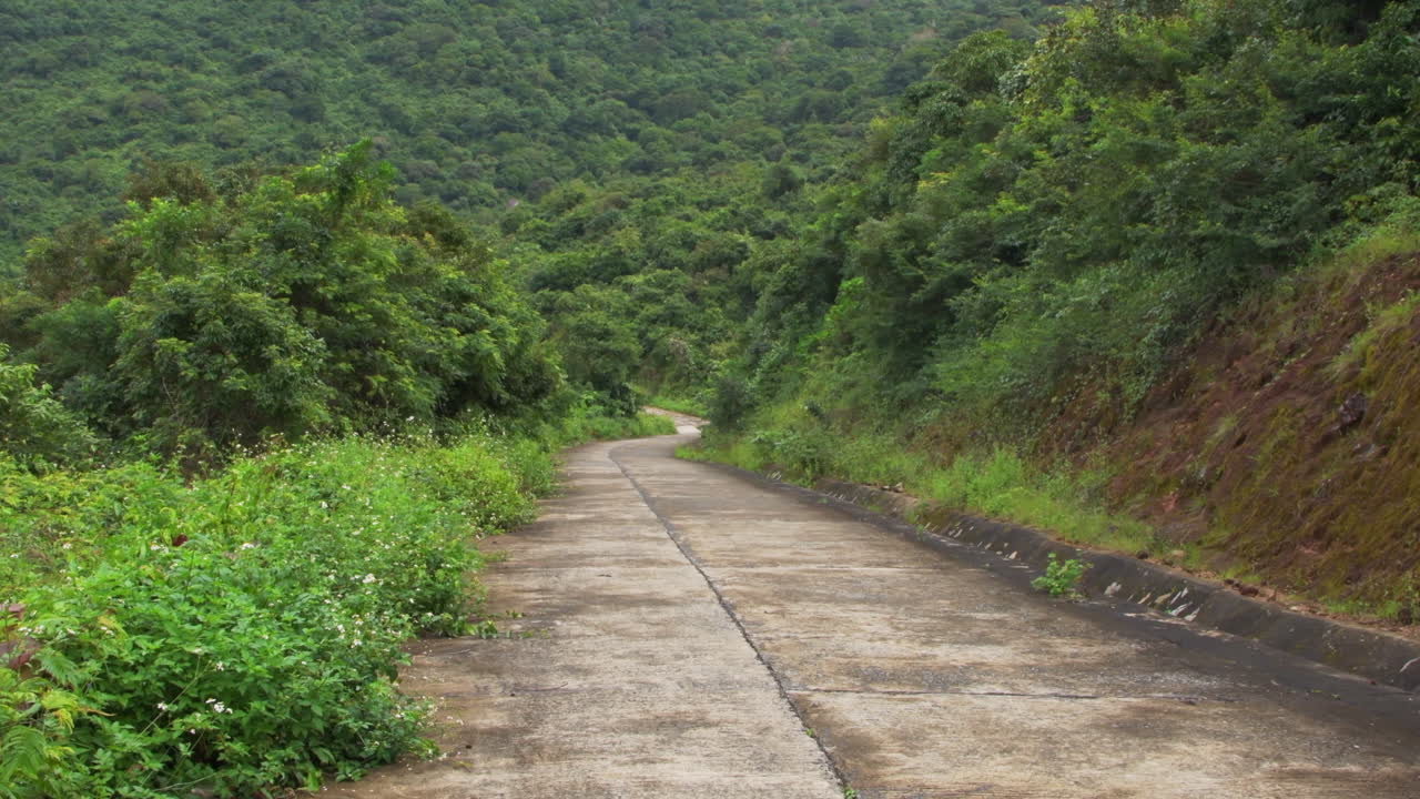 산 속 정글 한가운데 가파른 좁은 포장 도로