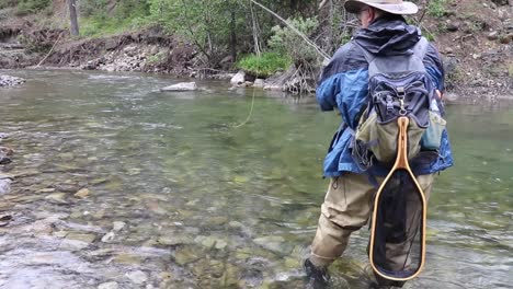 solitary and hopeful fly fisherman casts his fly to an upstream seam on the upper oldman river in southwestern alberta’s rocky mountain region in anticipation of catching a native trout