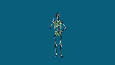 skeleton-talking-on-cell-phone-