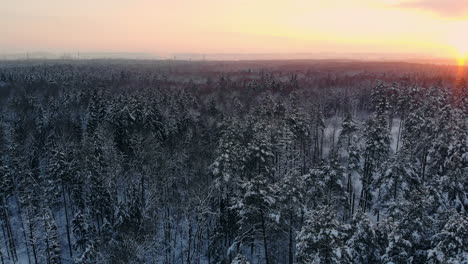 Luftflug-Eines-Winterwaldes.-Beim-Flug-über-Die-Verschneiten-Wälder-Geht-Die-Sonne-Orange-über-Den-Weißen-Bäumen-Unter