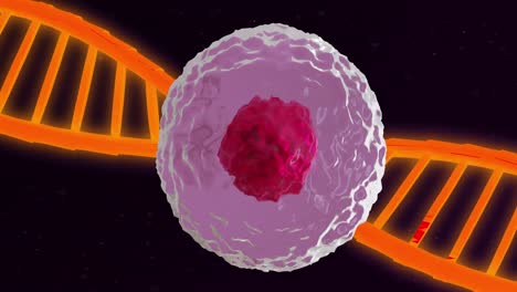 animación de células del cuerpo humano y cadena de adn sobre fondo negro
