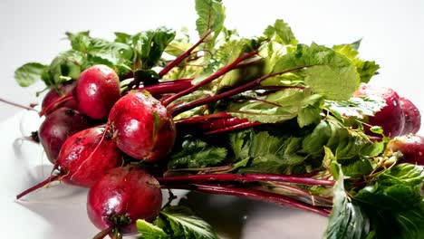 freshly harvested red radishes with green leaves on a white background