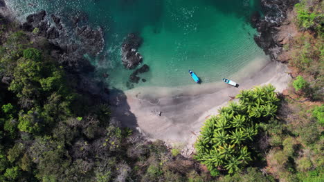 Toma-Aérea-Sobre-Una-Excursión-En-Barco-Detenida-En-La-Costa-De-La-Isla-Cébaco.