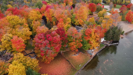 colorful coastal forest landscape with private buildings, aerial drone view