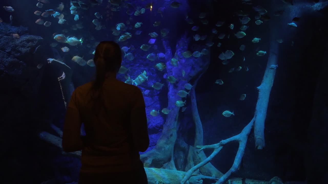 mujer tomando fotos durante una visita al oceanario