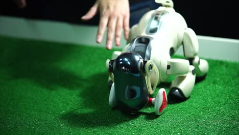 Sony Aibo Robot Dog at an Exhibition