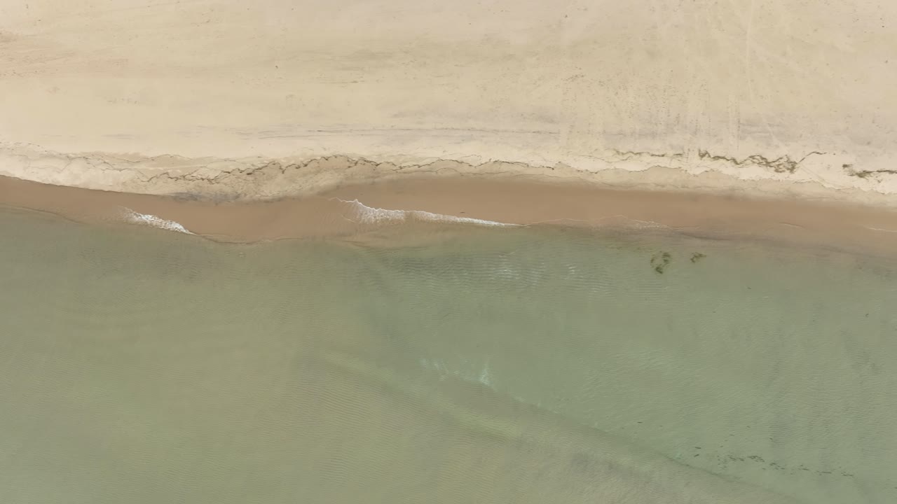 가을 에 미시간 호수 해안 을 따라 추적 하는 것