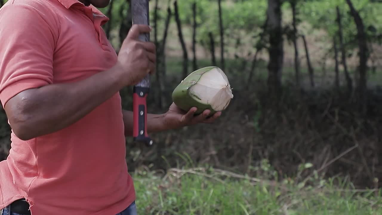hombre rompe coco, cortando cáscara de coco verde con machete en el campo-1