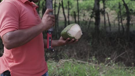 El-Hombre-Rompe-El-Coco,-Cortando-La-Cáscara-De-Coco-Verde-Con-Machete-En-El-Campo-1