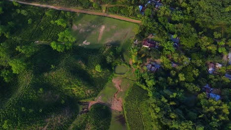 establishing drone shot of khadimnagar tea gardens in sylhet