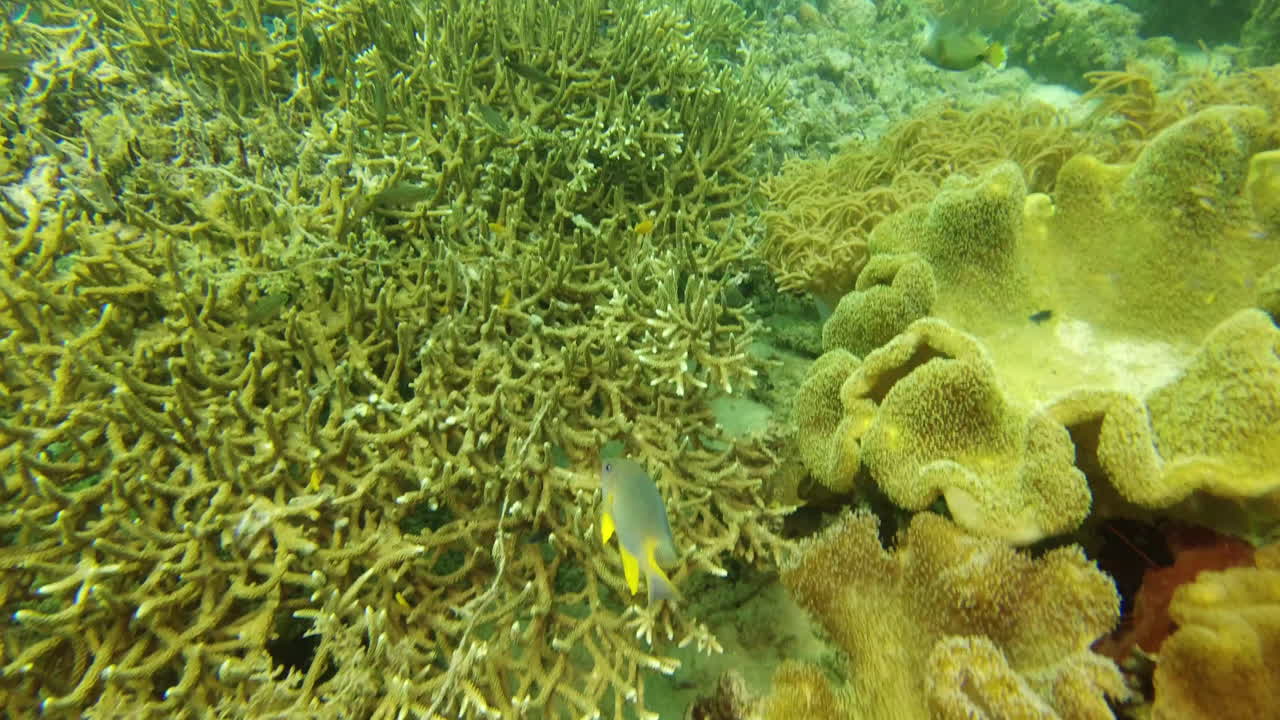 todo parece surrealista aquí abajo.