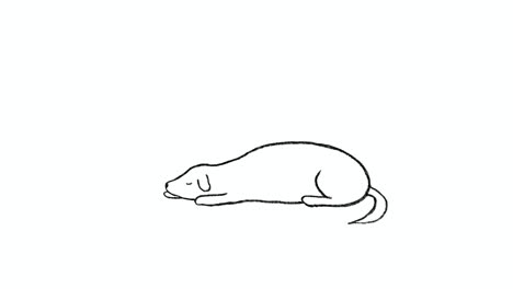 cute dog sleeping deeply, drawn 2d animation