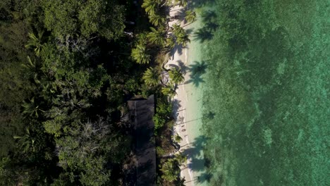 antena de arriba hacia abajo del parque de la playa de dalaguete en la costa tropical de la isla de cebú