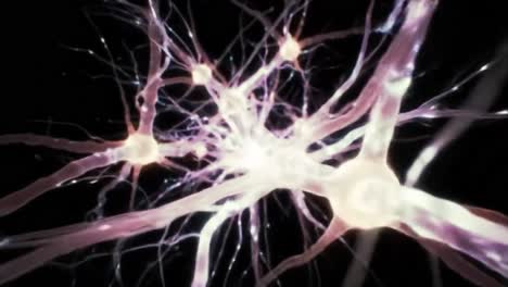 exploration of neuronal complexity: a journey through neural networks and synaptic interactions revealing the intricate architecture of brain functionality