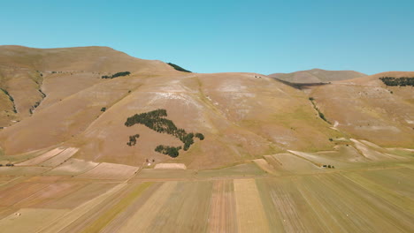 Vastos-Campos-Agrícolas-Con-Paisaje-Montañoso-De-Fondo-Durante-El-Verano-En-Piana-Grande,-Castelluccio-Di-Norcia,-Italia