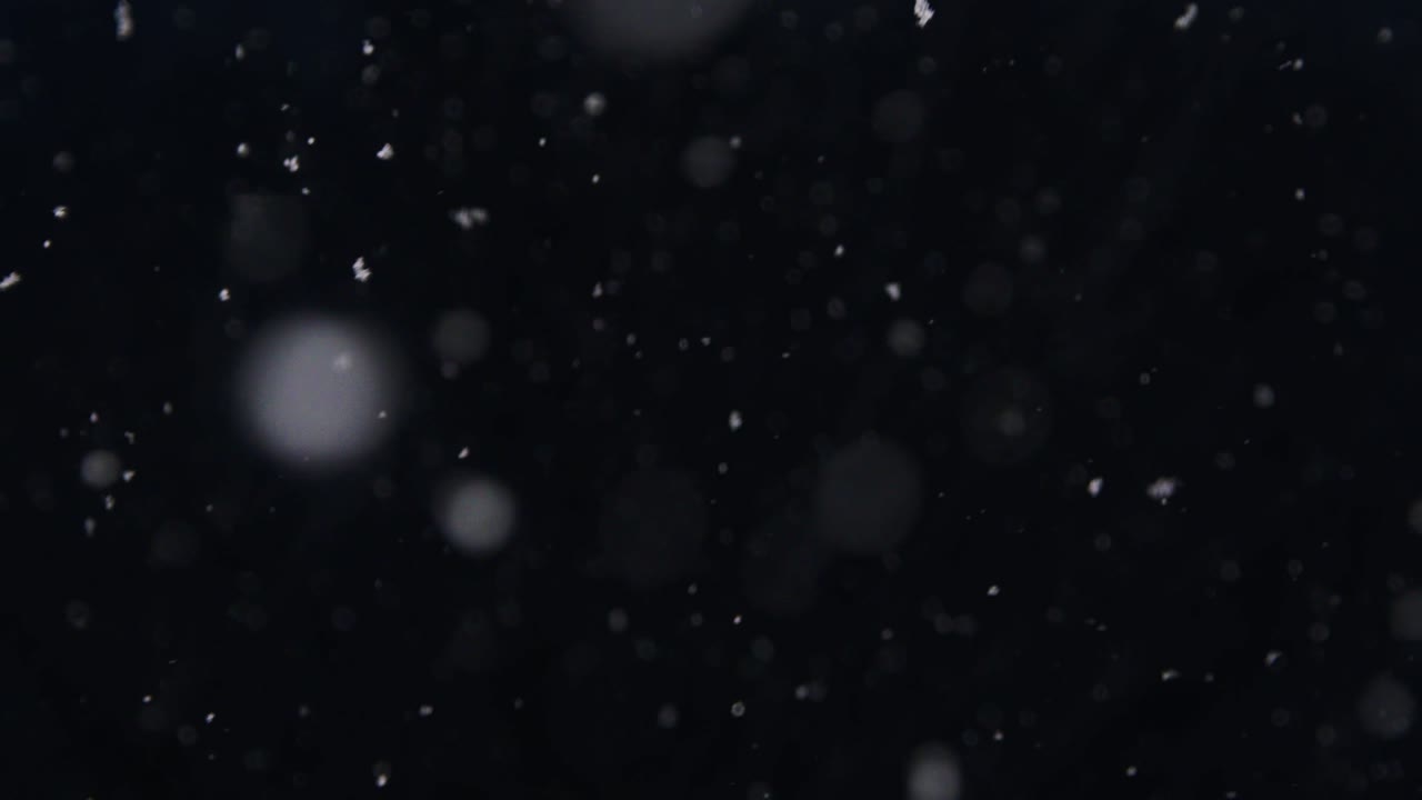 light flurry of snowflakes on a dark, cold January night