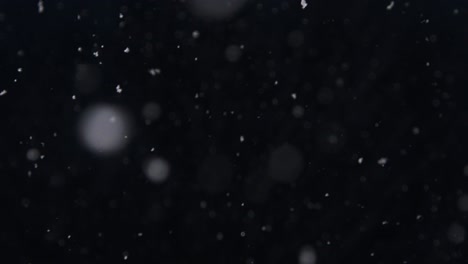 light flurry of snowflakes on a dark, cold january night