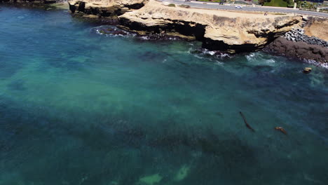 Océano-A-La-Ciudad-Costera-De-San-Diego-Inclinando-Hacia-Arriba-La-Vista-De-Drones,-Paisaje-Tropical