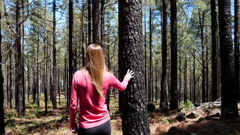 unrecognizable girl standing next to a tree and hiking in the mountain