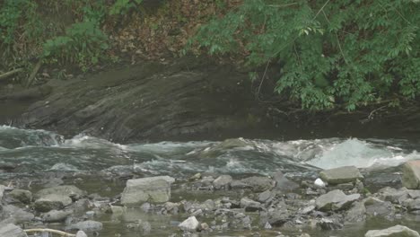 The-Wissahickon-Creek,-creek-passing-by-large-stones