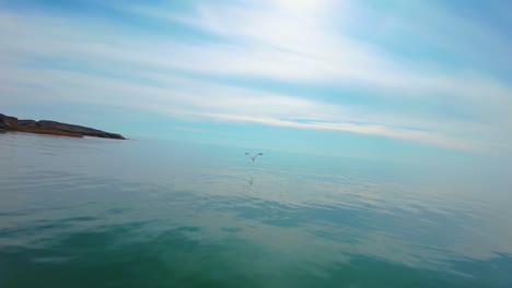 stunning coastal landscapes: ocean views, birds, and red rock formations