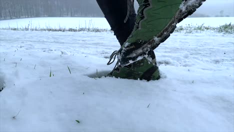Hiker-with-walking-boots-stamping-into-soft-deep-snow-with-outstanding-grass-stalk-during-winter
